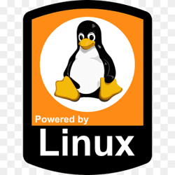 of Linux 1 saatlik VPS