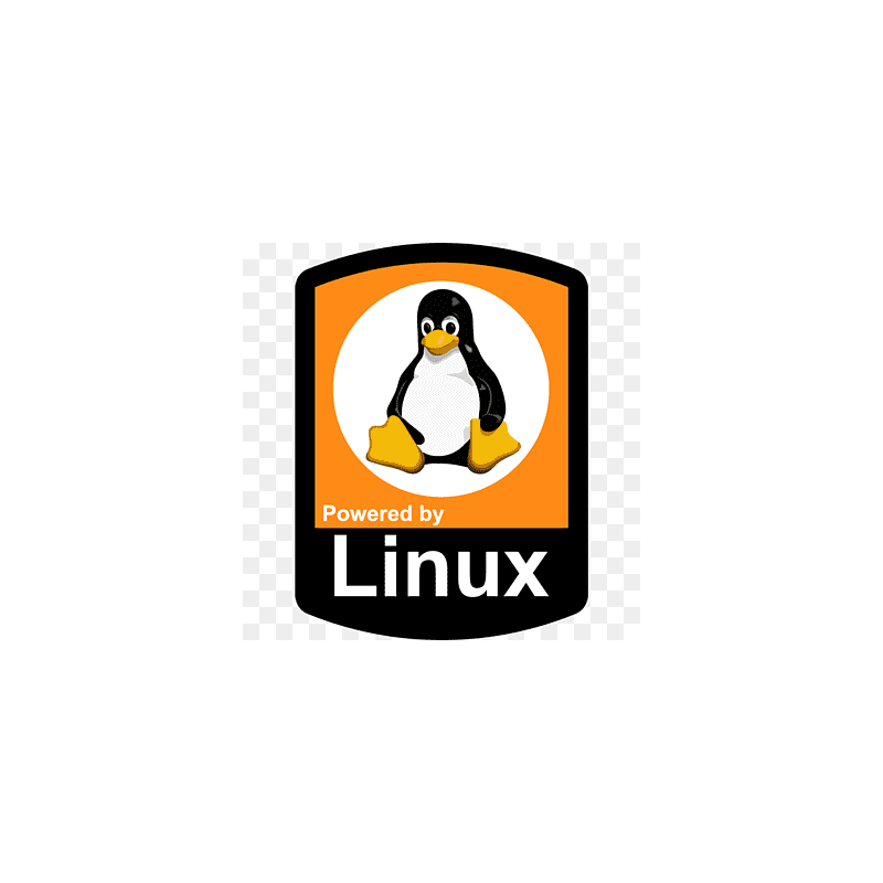 of Linux 1 saatlik VPS